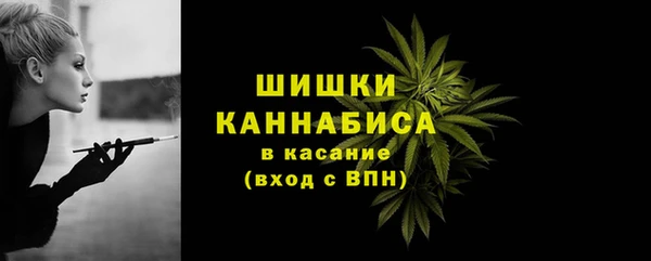 молекула духа Нея