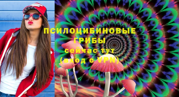 молекула духа Нея