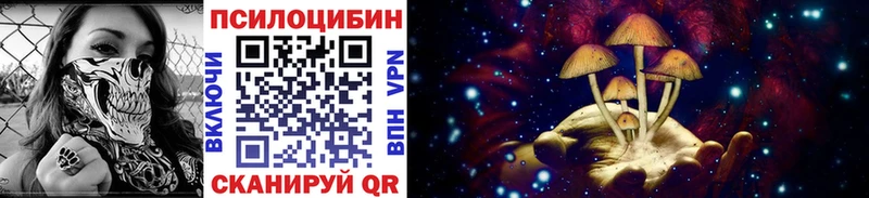 блэк спрут вход наркота Сызрань Галлюциногенные грибы Psilocybe