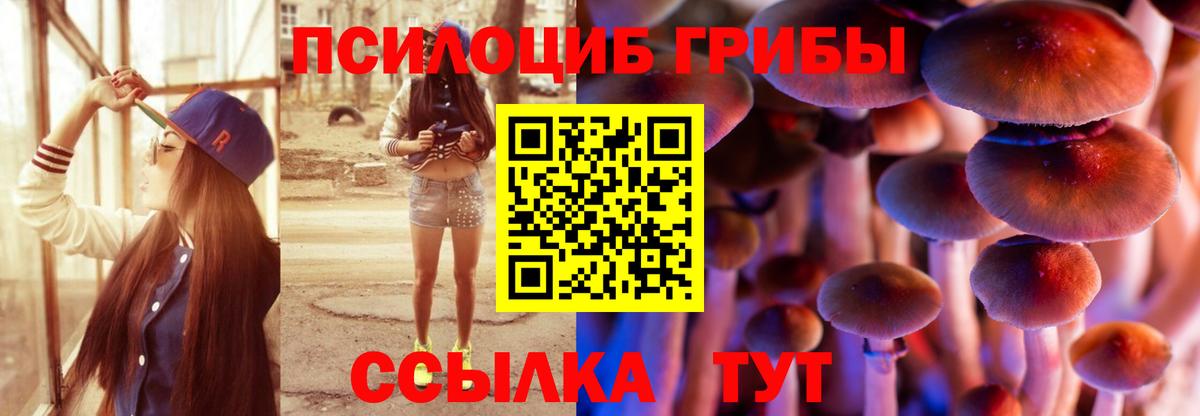 Сызрань  Псилоцибиновые грибы MAGIC MUSHROOMS  Вход с VPN 